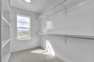 Walk in closet with carpet