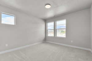 Spare room with carpet floors, a textured ceiling, and a mountain view