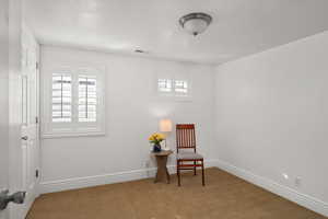 Fourth bedroom located on the lower level.