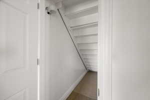 Storage area or could be converted to a Harry Potter closet under the stairs.