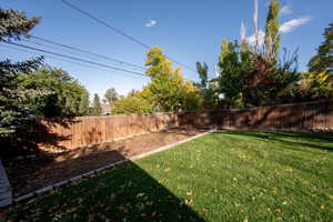 Garden spot in backyard