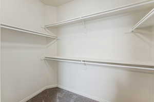 Walk in closet featuring carpet floors