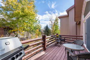 Wooden terrace with grilling area