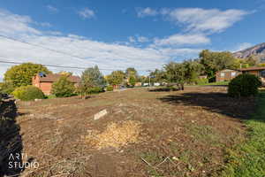 View of yard with a mountain view