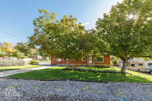 Obstructed view of property with a front yard and brick siding