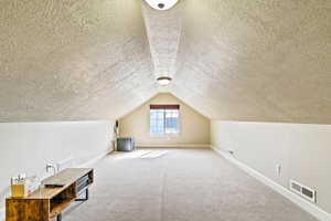 Bonus room featuring carpet, a textured ceiling, and lofted ceiling