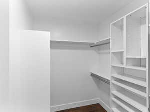 Spacious closet featuring dark wood-type flooring