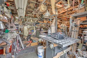 Back yard shed /workshop area