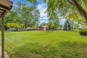 View of yard featuring view of scattered trees