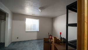 Bedroom with a textured ceiling and dark carpet