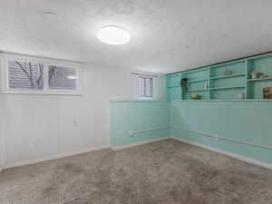 Basement with a textured ceiling, carpet floors, and wooden walls