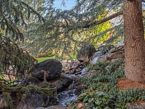 View of undeveloped land