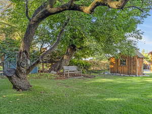 View of green lawn featuring an outdoor structure