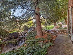 View of yard with a wooden deck