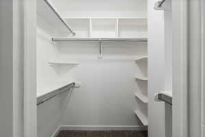 View of walk in closet