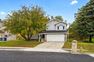 Traditional home featuring concrete driveway, stone siding, a front yard, a garage, and a chimney