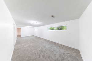 Basement living area