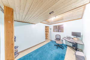 Basement storage room