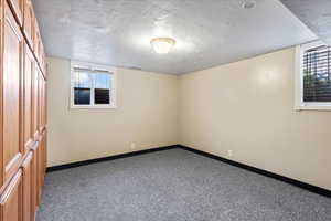 Basement bedroom