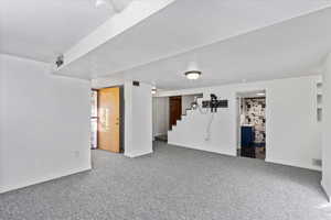 Basement living room