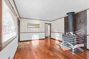 Den with wood burning stove