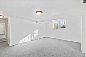 Basement living room