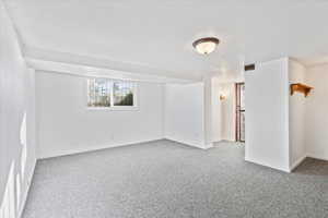 Basement living room