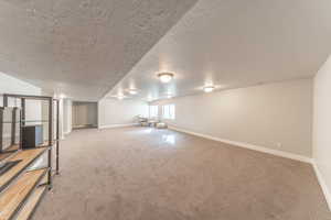 Below grade area with carpet floors and a textured ceiling