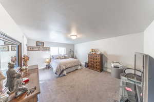 Bedroom featuring carpet and a textured ceiling