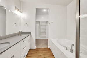 Primary bathroom featuring a walk-in-closet, light wood finished floors, double vanity, a bathtub, and a separate shower stall