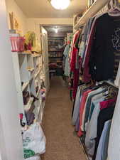 Walk in closet with light carpet