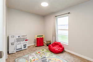 Rec room featuring carpet flooring and a textured ceiling