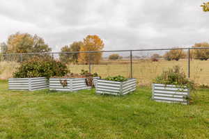 View of yard with a vegetable garden