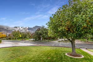 View of grassy yard with a mountain view