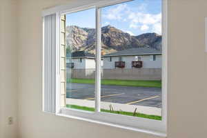 Detailed view of a mountainous background