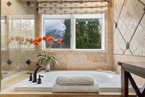 Updated Primary Bath