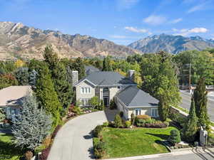 View of mountain background