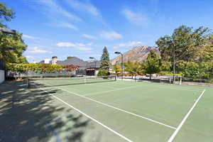 Tennis/pickleball Court