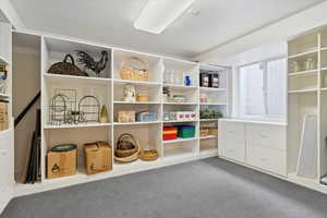 Lower-level Craft/storage room