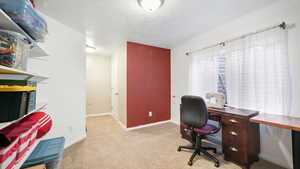 Office space with light colored carpet and a textured ceiling