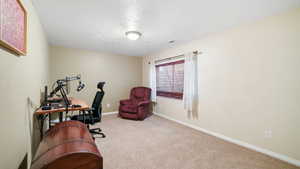 Carpeted office with baseboards and a textured ceiling