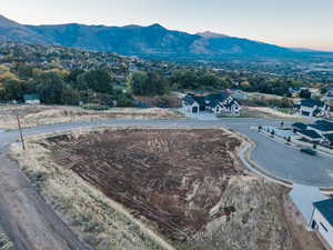Bird's eye view of a mountainous background and a tree filled landscape
