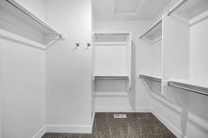 Spacious closet featuring dark carpet