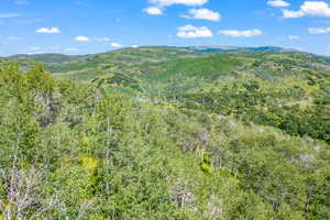 View of mountain backdrop