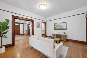 Living room featuring wood-type flooring and radiator