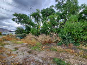 View of undeveloped land