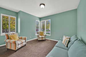 Living area featuring carpet and a textured ceiling