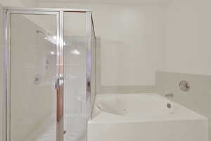 Full bathroom with a bath and a stall shower