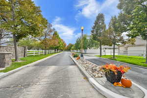 Beautiful Tree Lined Streets
