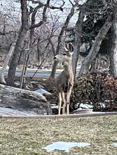 View of undeveloped land